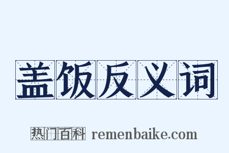 盖饭反义词是什么意思的图片